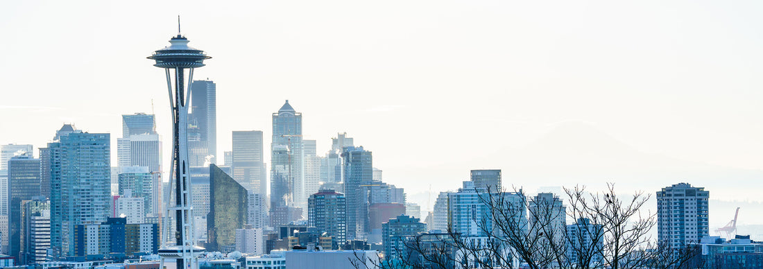 Seattle Skyline: The Best Wallpapers to Bring the City Into Your Home