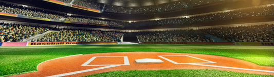 Professional Baseball Grand Arena In Sunlight Wall Mural